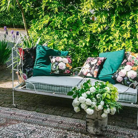 les hortensias La Souris Des Champs Étival-Clairefontaine Extérieur photo